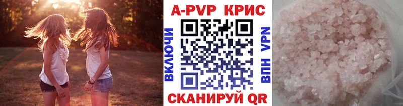 дарнет шоп  Ростов  А ПВП СК КРИС 
