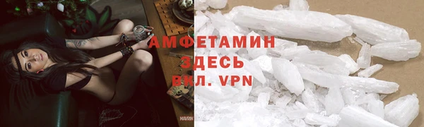 дурь Кропоткин