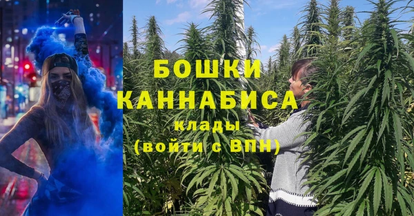 MESCALINE Новодвинск