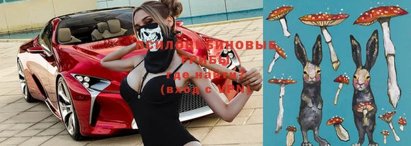 ПСИЛОЦИБИНОВЫЕ ГРИБЫ Новокубанск